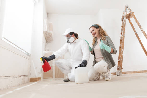 Best Mold Remediation for Healthcare Facilities  in Norwich, CT